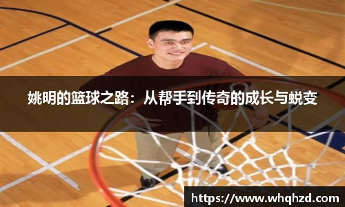 金年会